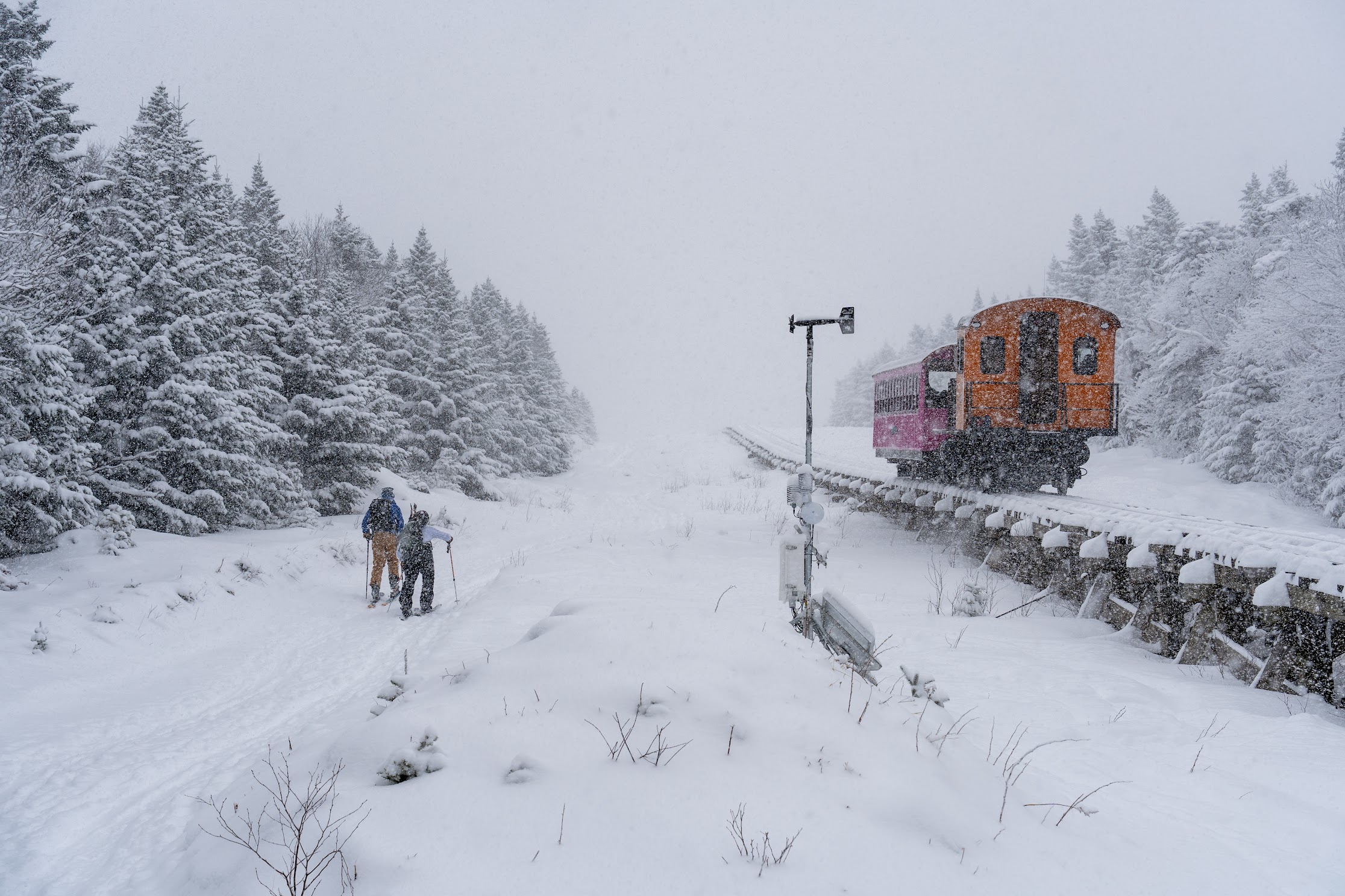 skiing the Cog