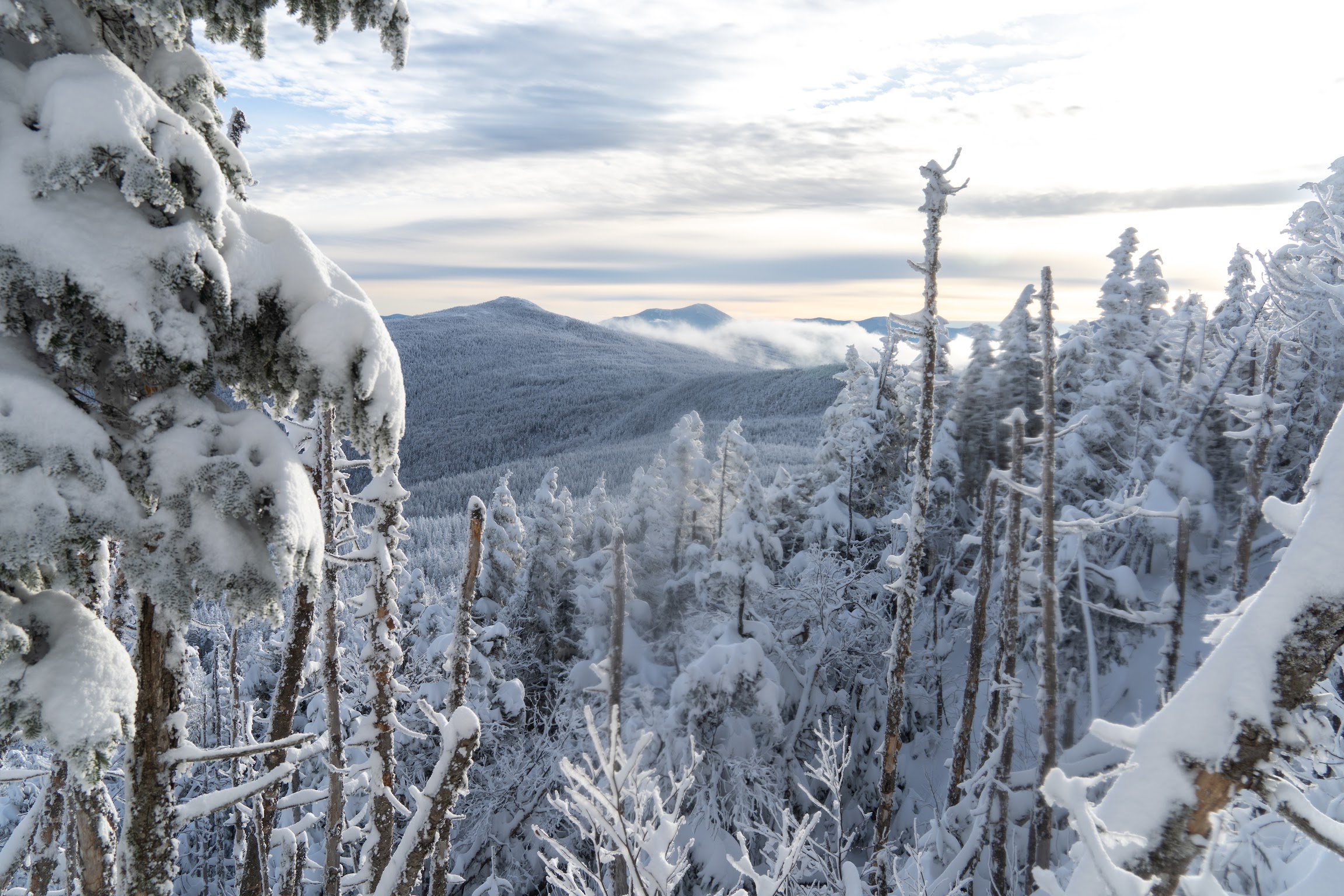 a mountain which may be Mt. Isolation? idk